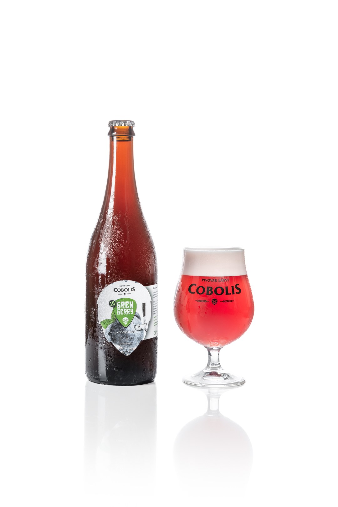 Brew Berry Borůvkové Gose 10