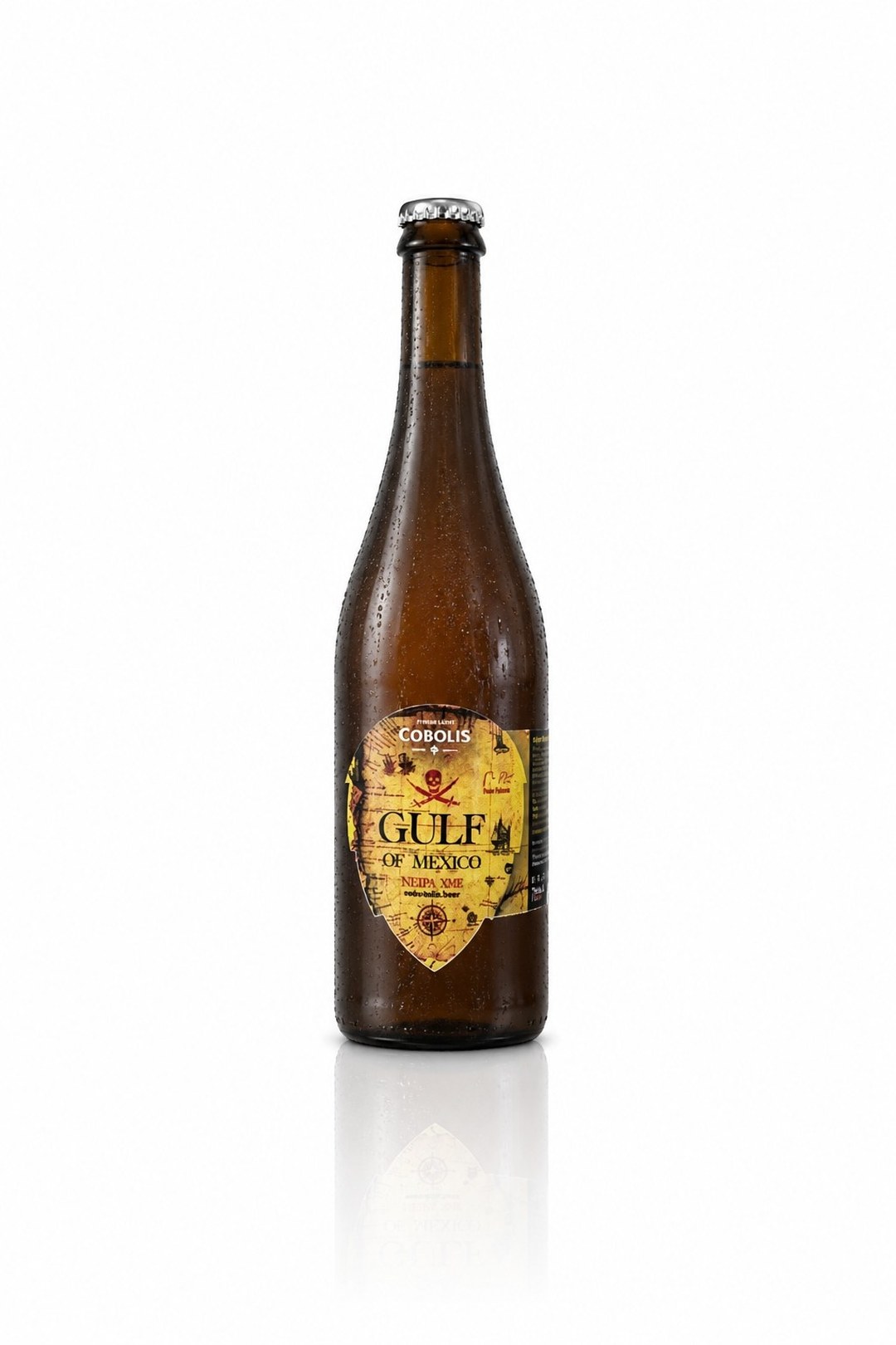 Gulf of Mexico NEIPA 13
