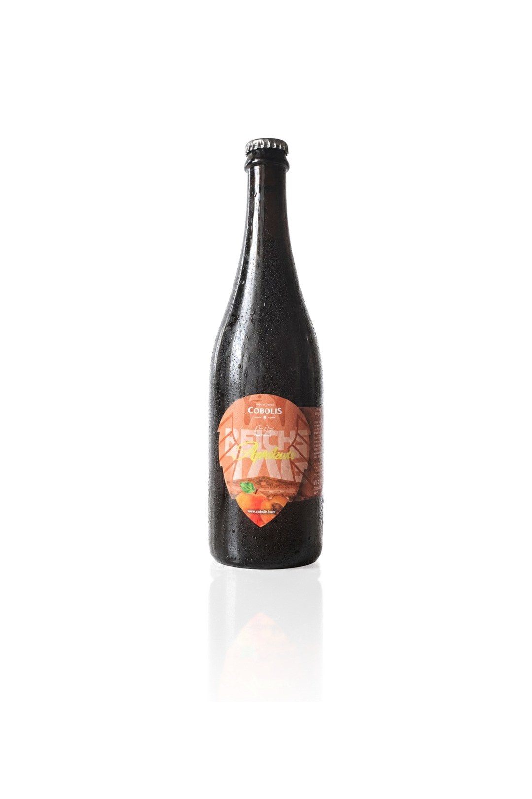 Sour Ale 14 Meruňka
